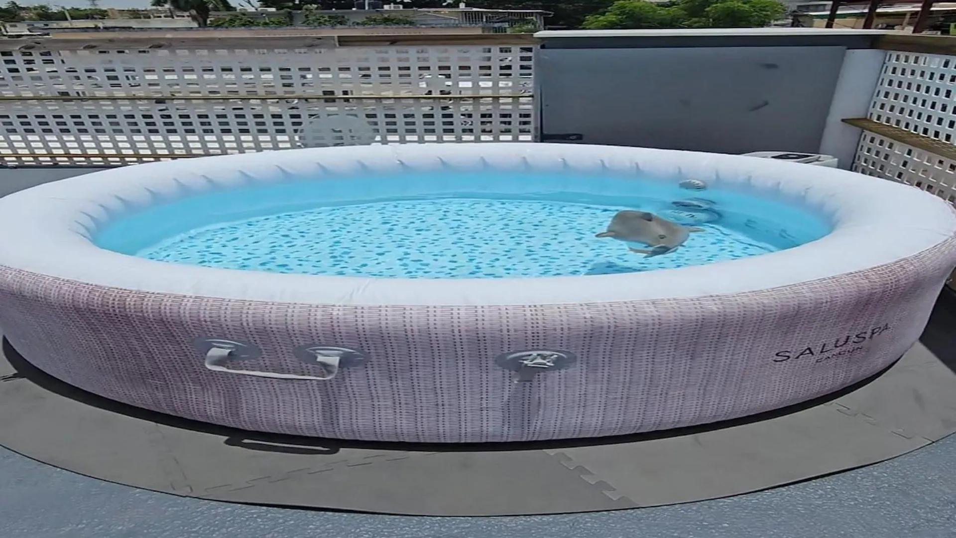 サンジョアンTerrace With Jacuzzi Modern 2アパートメント