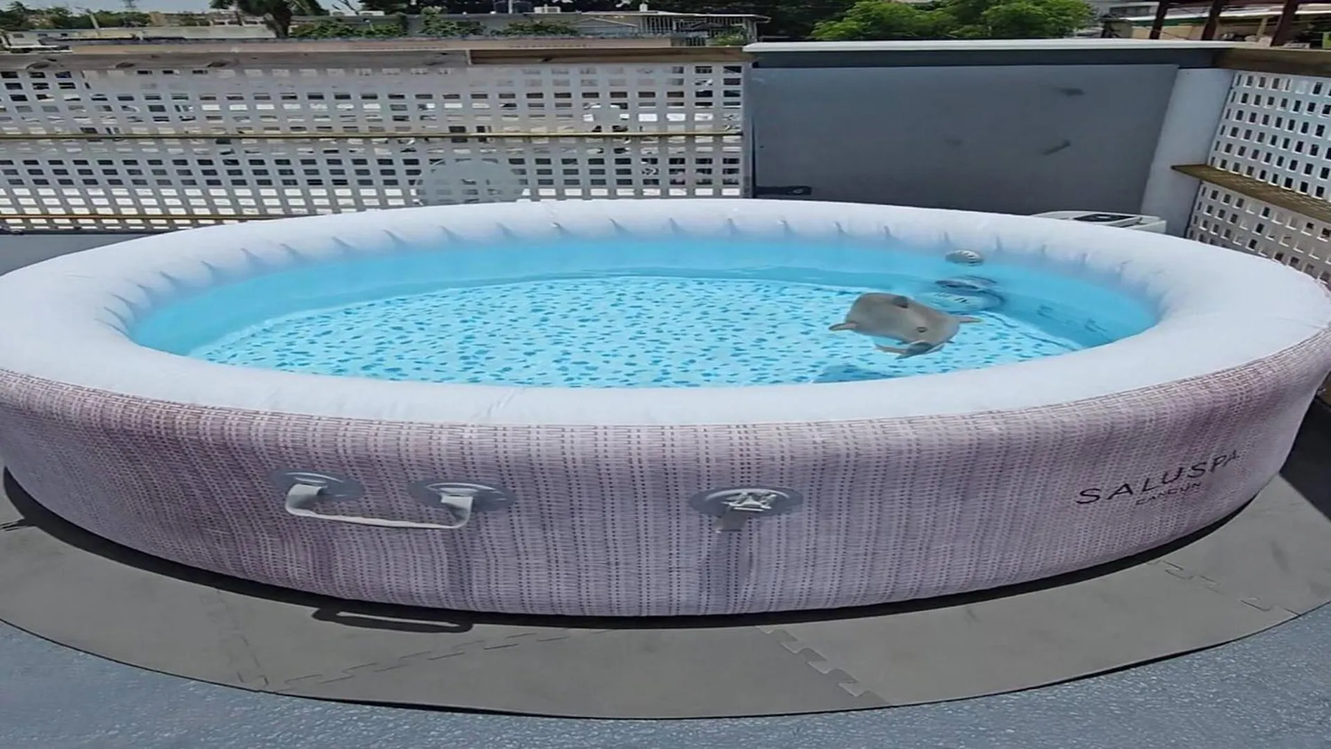 アパート サンジョアンTerrace With Jacuzzi Modern 2アパートメント